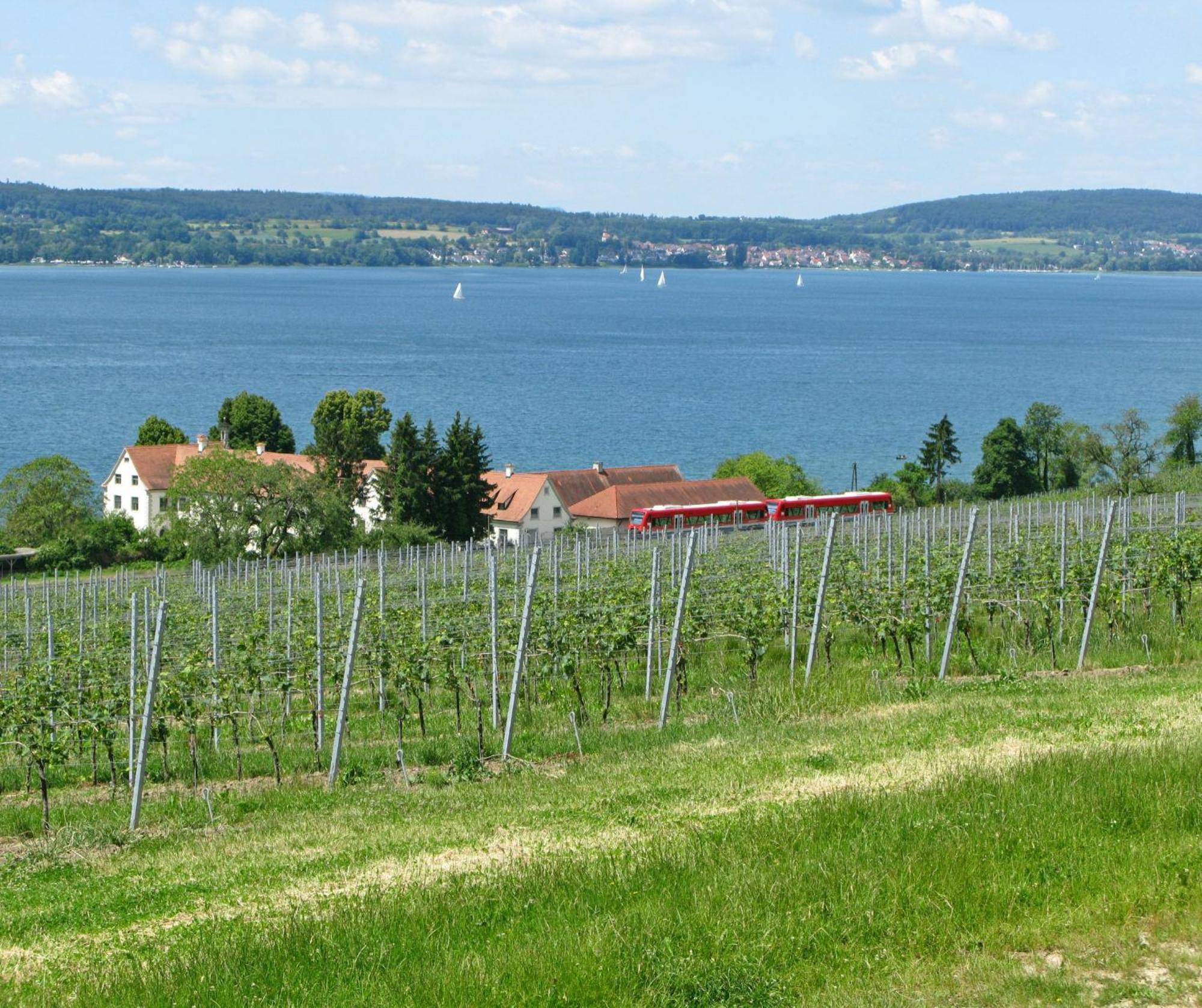 Ueberlinger Ferienidylle Appartement Uberlingen Buitenkant foto